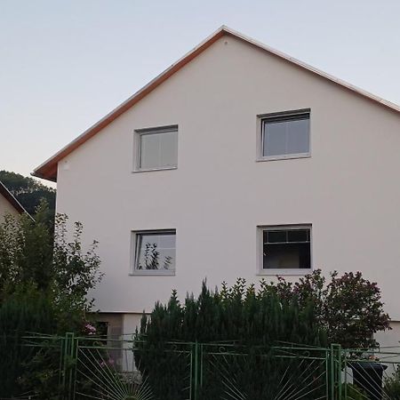 Apartmanovy Dum Terka Zázrivá Buitenkant foto
